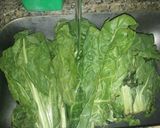 Foto del paso 1 de la receta: Capeletis de Verdura