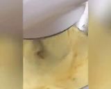Foto langkah ke 8 dari resep Butter Cake Tapai Singkong.