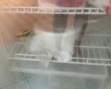 Foto langkah ke 10 dari resep SOURDOUGH BREAD🥖.