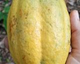 Foto del paso 1 de la receta: Corazones de Cacao Rebozados