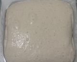 Foto langkah ke 9 dari resep Basic Sourdough Bread 86%.