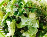 Hình bước làm 1 của món Xà lách cuốn tôm giò