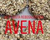 Foto del paso 13 de la receta: Hamburguesas de lentejas #SOSAdriCocina