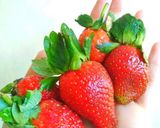 Foto langkah ke 1 dari resep Stroberi Infused Water.