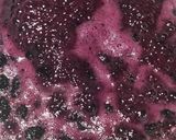 Foto del paso 2 de la receta: Helado De Queso Crema Y Moras