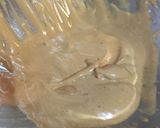 Foto del paso 2 de la receta: Capuchino