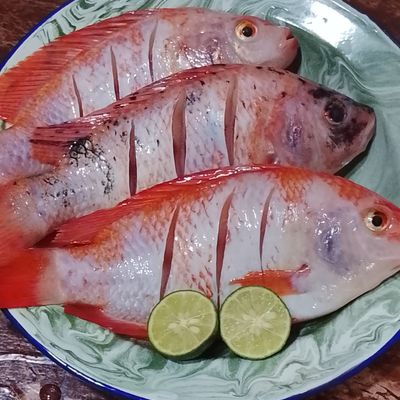 Langkah 2