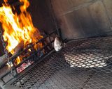 Foto del paso 4 de la receta: Sábalo a la parrilla