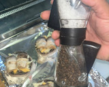 Foto del paso 9 de la receta: Champiñones Rellenos