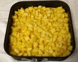 A picture of step 14 of Mango Bavarios.
