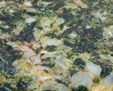 Foto del paso 2 de la receta: 🌿 🧡 Salmón con tortilla de espinacas