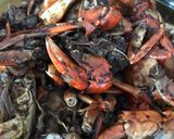 Foto langkah ke 5 dari resep Kepiting Lada Hitam.