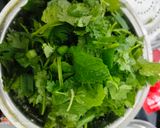 લીલા લસણ ફૂદીના ચટણી (Lila Lasan Pudina Chutney Recipe In Gujarati) રેસીપી સ્ટેપ3ફોટો