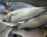 Foto del paso 5 de la receta: Lubinas al horno con verduras