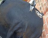 A picture of step 2 of Pork roast (charcoal slowcook) (10-1/2hr 8.4lbs) vi wrap & rotary.