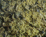 Foto del paso 6 de la receta: Arroz con secreto, setas y alcachofa