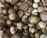 Foto langkah ke 1 dari resep Sate Kerang Medan.