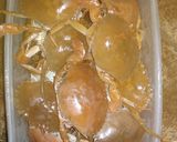 Foto langkah ke 1 dari resep Kepiting saus Rendang.