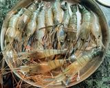 চিংড়ি মাছের মালাইকারি(prawn malai curry recipe in Bengali) রেসিপি ধাপ - 1 ছবি