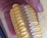 Foto del paso 3 de la receta: Elote frito para botanear