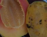 A picture of step 1 of Sweet papaya burfi laddu.