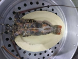 กุ้งมังกรนึ่งมะนาว