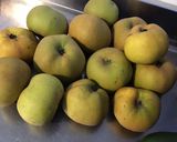 Une image de l'étape 1 de Compote pommes Canada &pralin.