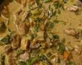 A picture of step 4 of Thai coconut butter chicken curry 🍗.