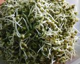 A picture of step 3 of Sprouts green gram rice # global cuisine #post_1.