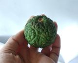 Foto langkah ke 3 dari resep Es Limau Kuit.