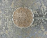Foto langkah ke 1 dari resep Sate Telur Puyuh ala Angkringan.