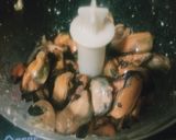Foto del paso 5 de la receta: Calamares rellenos