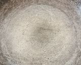 A picture of step 2 of Prawn head fry.