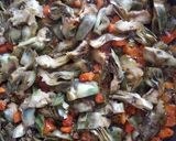 Foto del paso 4 de la receta: Paella de verduras