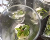 Foto del paso 2 de la receta: Mojito playero