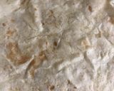 A picture of step 4 of Tortilla wraps.