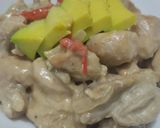 Foto del paso 7 de la receta: Pollo🍗en salsa🥯de queso🧅🫑🧄