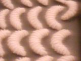 كعك النقاش