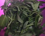 Foto langkah ke 1 dari resep Sayur kangkung kacang hijau.