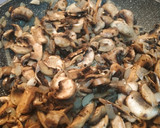 Foto del paso 4 de la receta: Champiñones en salsa
