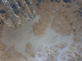 Galletas de avena
