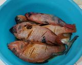 Foto langkah ke 1 dari resep Pesmol Ikan Nila Bumbu Acar Kuning Timun dan Wortel.