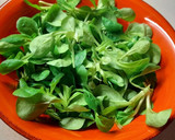 Foto del paso 2 de la receta: Ensalada de pollo y canónigos