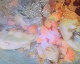 A picture of step 2 of Murgh cholay.