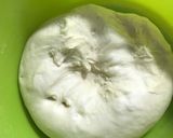 Foto langkah ke 3 dari resep Pao / Buns Simple.