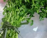 水茼蒿甘荀肉片湯的食譜步驟1照片