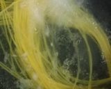Foto langkah ke 1 dari resep Spaghetti Rendang.
