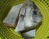 Gambar langkah 4 resipi Asam Pedas Ikan Bawal.