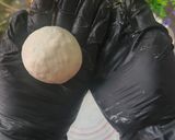 Foto langkah ke 7 dari resep Bakpau No Mixer #642.