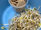 Kwetiau Goreng Telur Bakso